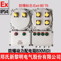 防爆检修配电箱BXM(D)53总电源3P80A四回路3P40A